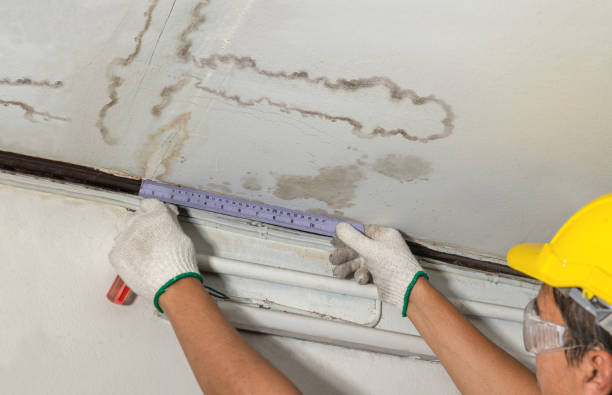Reliable Basement Water Removal contractor in Suches, GA by Water Damage Irwin